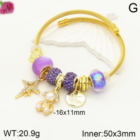 F2BA40806vhha-J50  Fashion Bangle