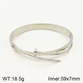 TZ2000298ahjb-617  SS Bangles