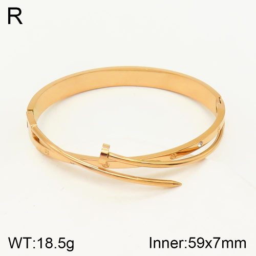 TZ2000300ahlv-617  SS Bangles