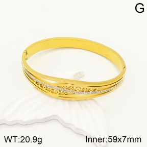 TZ2000303ahjb-377  SS Bangles