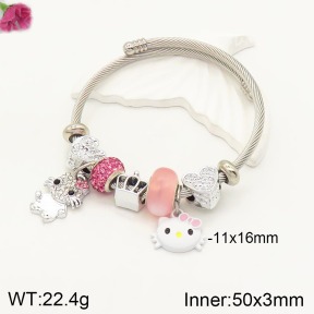 TZ2000324vbpb-J50  Fashion Bangles