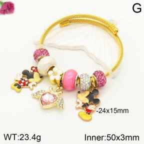 TZ2000326vhha-J50  Fashion Bangles