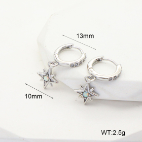 6E4004023bhkk-G034  316 SS Czech Stones & Synthetic Opal ,Handmade Polished  Stainless Steel Earrings