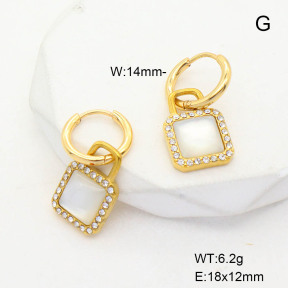 6E4004176vhmv-G037  Stainless Steel Earrings