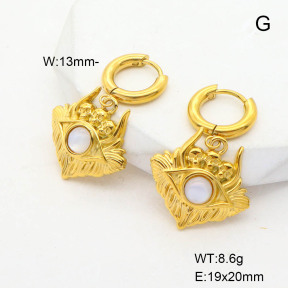 6E4004181ahjb-G037  Stainless Steel Earrings