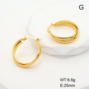 CL6E00081aakl-G037  Closeout( No Discount)  Stainless Steel Earrings