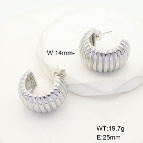 CL6E00083bbml-G037  Closeout( No Discount)  Stainless Steel Earrings