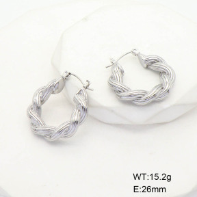 CL6E00091bbml-G037  Closeout( No Discount)  Stainless Steel Earrings