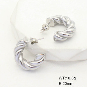 CL6E00093bbml-G037  Closeout( No Discount)  Stainless Steel Earrings