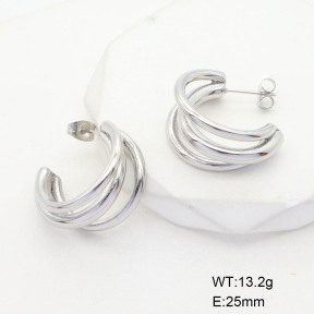 CL6E00127vbnl-G037  Closeout( No Discount)  Stainless Steel Earrings