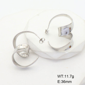 CL6E00129vbnl-G037  Closeout( No Discount)  Stainless Steel Earrings