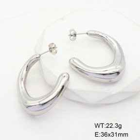 CL6E00133vbnl-G037  Closeout( No Discount)  Stainless Steel Earrings