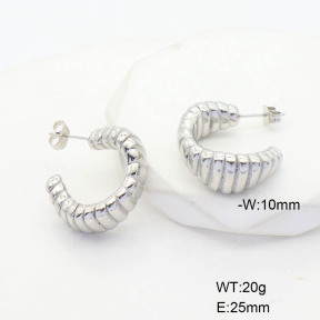 CL6E00138vbnl-G037  Closeout( No Discount)  Stainless Steel Earrings