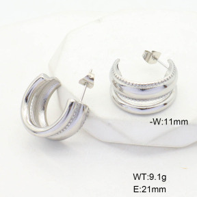 CL6E00148vbnl-G037  Closeout( No Discount)  Stainless Steel Earrings