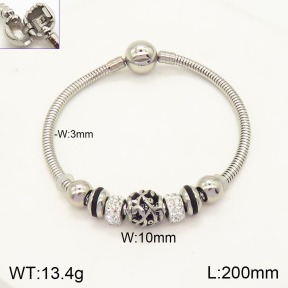 2B4003446vhov-355  Stainless Steel Bracelet