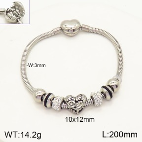 2B4003453vhov-355  Stainless Steel Bracelet