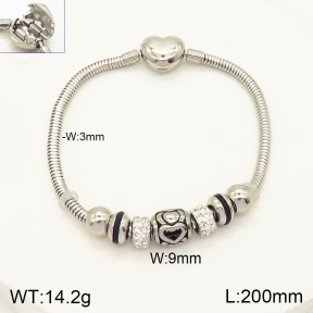 2B4003456vhov-355  Stainless Steel Bracelet