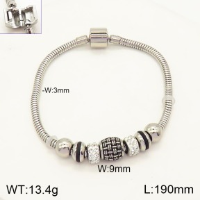 2B4003457vhov-355  Stainless Steel Bracelet