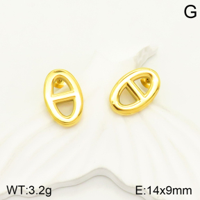 2E2004003vbmb-762  Stainless Steel Earrings