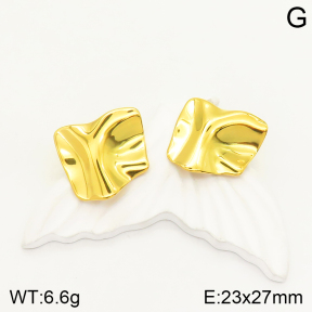 2E2004024aajp-472  Stainless Steel Earrings