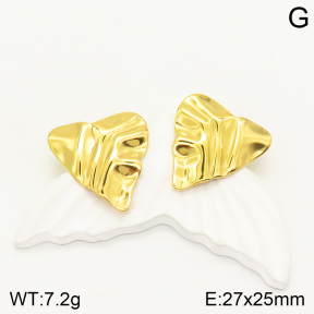 2E2004030aajp-472  Stainless Steel Earrings