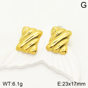 2E2004040aajp-472  Stainless Steel Earrings