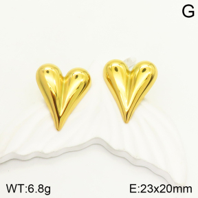 2E2004046aajp-472  Stainless Steel Earrings