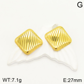 2E2004048aajp-472  Stainless Steel Earrings