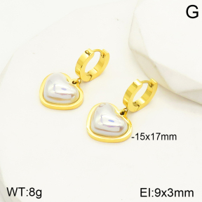 2E3002206bbov-762  Stainless Steel Earrings