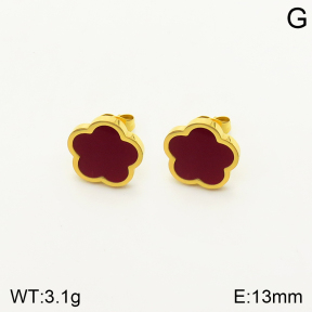 2E4003359vbmb-762  Stainless Steel Earrings