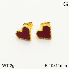 2E4003360vbmb-762  Stainless Steel Earrings