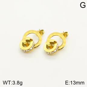 2E4003361bbov-762  Stainless Steel Earrings