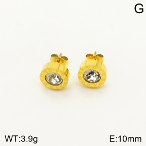 2E4003369vbmb-762  Stainless Steel Earrings