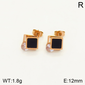 2E4003372vbmb-762  Stainless Steel Earrings