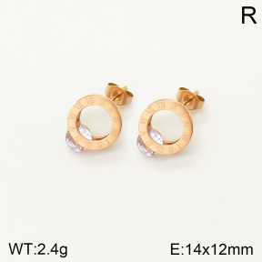 2E4003373vbmb-762  Stainless Steel Earrings