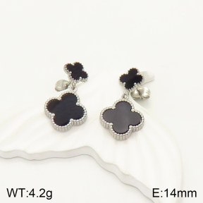 2E4003375bbov-762  Stainless Steel Earrings