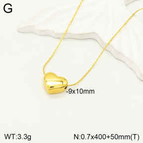 2N2004109vbnb-746  Stainless Steel Necklace