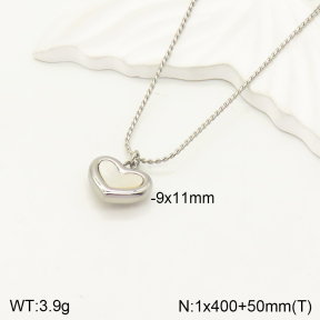 2N3001649bbml-746  Stainless Steel Necklace