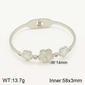 2BA300165bhia-377  Stainless Steel Bangle