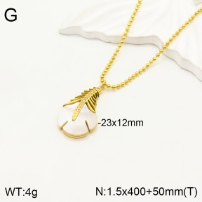 2N3001662bhva-746  Stainless Steel Necklace