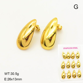 6E2006682vihb-446  Stainless Steel Earrings