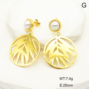 6E3002586vbnl-341  Stainless Steel Earrings