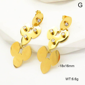 6E4004175vbnl-341  Stainless Steel Earrings