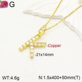 F2N400898bbov-J173  Fashion Copper Necklace