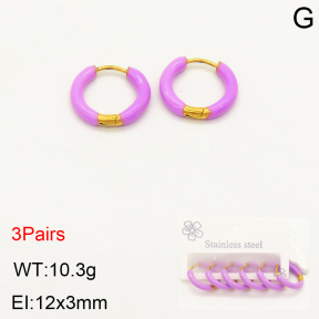 2E3002212bhbl-351  Stainless Steel Earrings