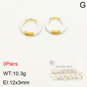 2E3002215bhbl-351  Stainless Steel Earrings