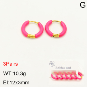 2E3002217bhbl-351  Stainless Steel Earrings