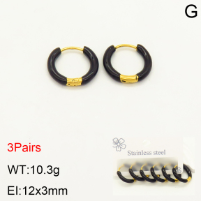 2E3002220bhbl-351  Stainless Steel Earrings