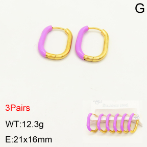 2E3002221bhia-351  Stainless Steel Earrings