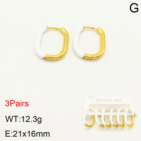 2E3002225bhia-351  Stainless Steel Earrings